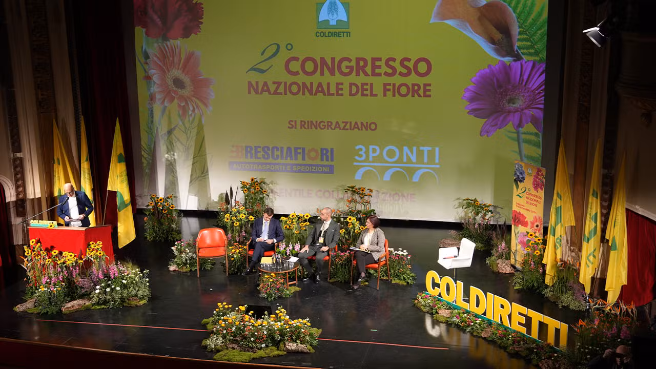 Sala Centrale